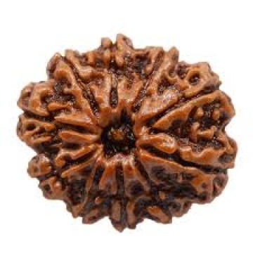 Ten Mukhi