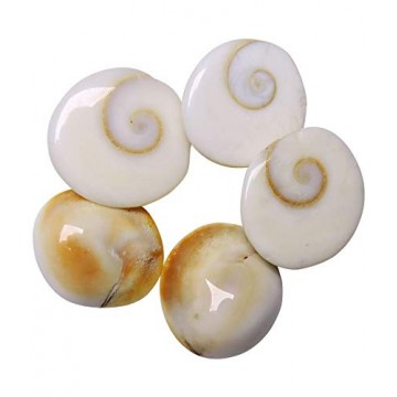 Gomti Chakra